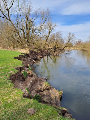 Třebechovice pod Orebem, 11.3.2024
Meandry Orlice.
Schlüsselwörter: Třebechovice pod Orebem meandry Orlice