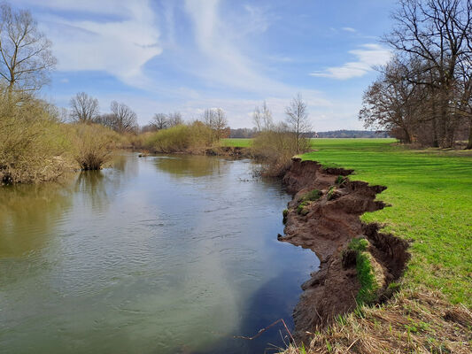 Třebechovice pod Orebem, 11.3.2024
Meandry Orlice.
Schlüsselwörter: Třebechovice pod Orebem meandry Orlice