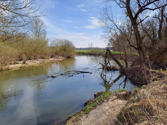 Třebechovice pod Orebem, 11.3.2024
Meandry Orlice.
Klíčová slova: Třebechovice pod Orebem meandry Orlice