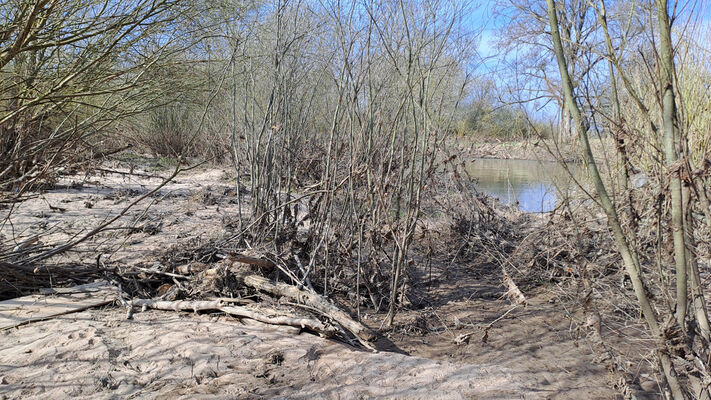 Třebechovice pod Orebem, 11.3.2024
Meandry Orlice.
Schlüsselwörter: Třebechovice pod Orebem meandry Orlice