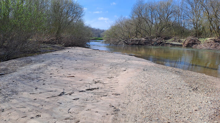 Třebechovice pod Orebem, 11.3.2024
Meandry Orlice.
Schlüsselwörter: Třebechovice pod Orebem meandry Orlice