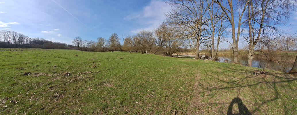 Třebechovice pod Orebem, Nepasice, 11.3.2024
Meandry Orlice - pastvina.
Schlüsselwörter: Třebechovice pod Orebem Nepasice meandry Orlice