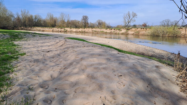 Třebechovice pod Orebem, Nepasice, 11.3.2024
Meandry Orlice.
Schlüsselwörter: Třebechovice pod Orebem Nepasice meandry Orlice