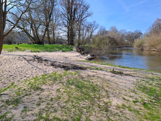 Třebechovice pod Orebem, Nepasice, 11.3.2024
Meandry Orlice.
Schlüsselwörter: Třebechovice pod Orebem Nepasice meandry Orlice