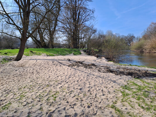 Třebechovice pod Orebem, Nepasice, 11.3.2024
Meandry Orlice.
Klíčová slova: Třebechovice pod Orebem Nepasice meandry Orlice