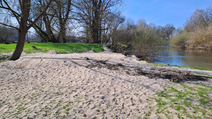 Třebechovice pod Orebem, Nepasice, 11.3.2024
Meandry Orlice.
Mots-clés: Třebechovice pod Orebem Nepasice meandry Orlice