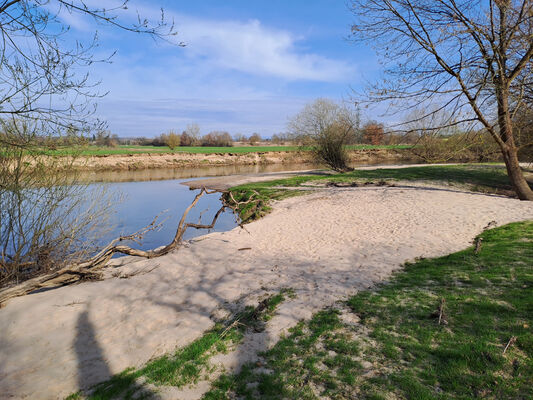Třebechovice pod Orebem, Nepasice, 11.3.2024
Meandry Orlice.
Klíčová slova: Třebechovice pod Orebem Nepasice meandry Orlice