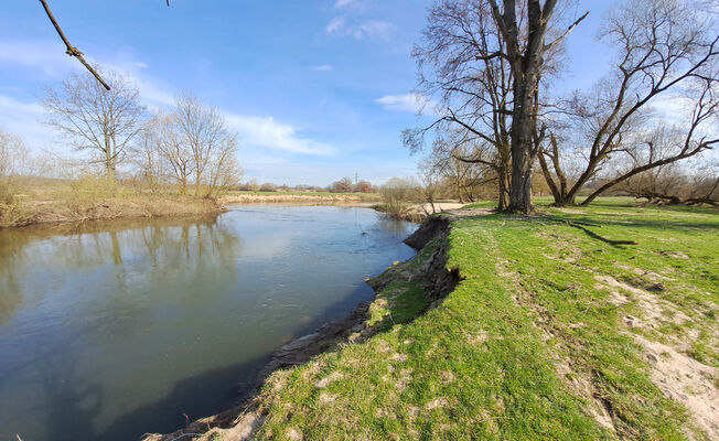 Třebechovice pod Orebem, Nepasice, 11.3.2024
Meandry Orlice.
Klíčová slova: Třebechovice pod Orebem Nepasice meandry Orlice