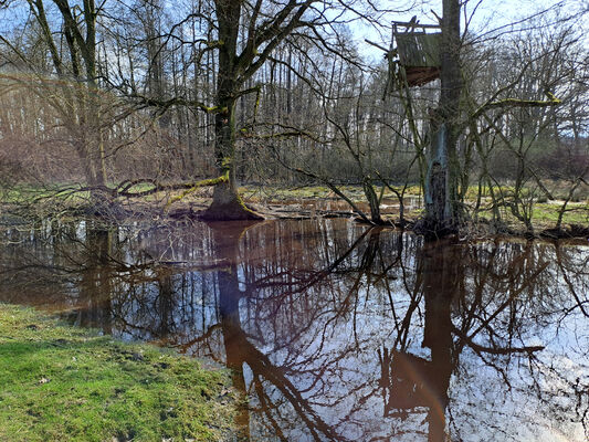 Třebechovice pod Orebem, Nepasice, 11.3.2024
Meandry Orlice.
Klíčová slova: Třebechovice pod Orebem Nepasice meandry Orlice