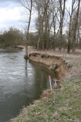 Třebechovice pod Orebem, Štěnkov, 13.3.2013
Štěnkov - Petrovičky. Sutý břeh v meandru Orlice.



Klíčová slova: Třebechovice pod Orebem Štěnkov řeka Orlice PP Orlice