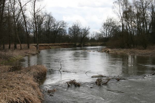 Třebechovice pod Orebem, Štěnkov, 13.3.2013
Štěnkov - Petrovičky. Meandry Orlice.



Klíčová slova: Třebechovice pod Orebem Štěnkov řeka Orlice PP Orlice