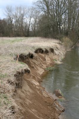 Třebechovice pod Orebem, Štěnkov, 13.3.2013
Štěnkov - Petrovičky. Sutý břeh v meandru Orlice.



Klíčová slova: Třebechovice pod Orebem Štěnkov řeka Orlice PP Orlice