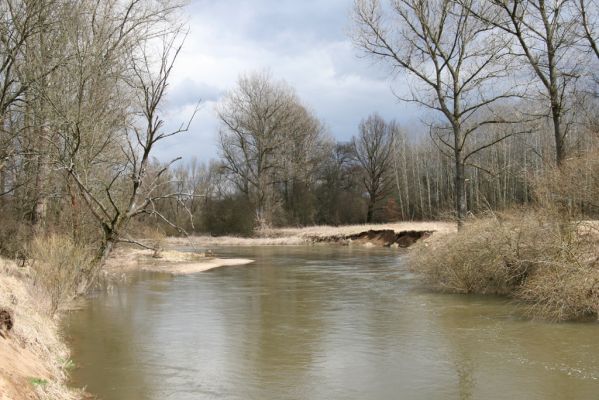 Třebechovice pod Orebem, Štěnkov, 13.3.2013
Štěnkov - Petrovičky. Meandry Orlice.


Klíčová slova: Třebechovice pod Orebem Štěnkov řeka Orlice PP Orlice