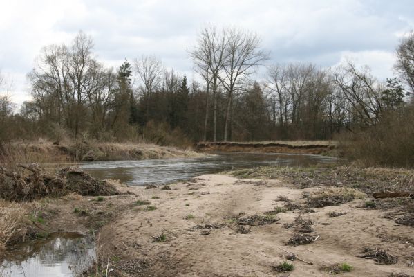 Třebechovice pod Orebem, Štěnkov, 13.3.2013
Štěnkov - Petrovičky. Písčitý náplav v meandru Orlice.



Klíčová slova: Třebechovice pod Orebem Štěnkov řeka Orlice PP Orlice Negastrius sabulicola