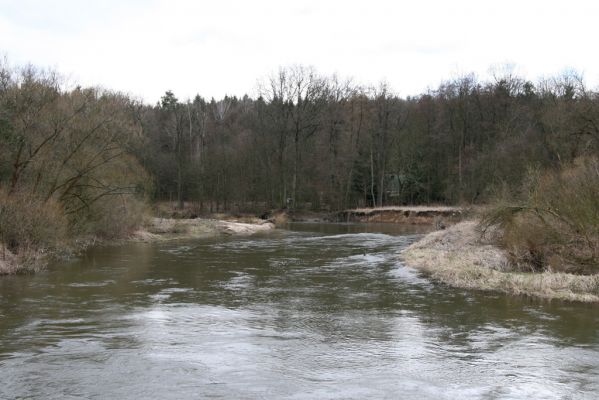 Třebechovice pod Orebem, Štěnkov, 13.3.2013
Štěnkov - Petrovičky. Meandry Orlice (50°10'33.13"N, 16° 0'9.94"E).



Schlüsselwörter: Třebechovice pod Orebem Štěnkov řeka Orlice PP Orlice