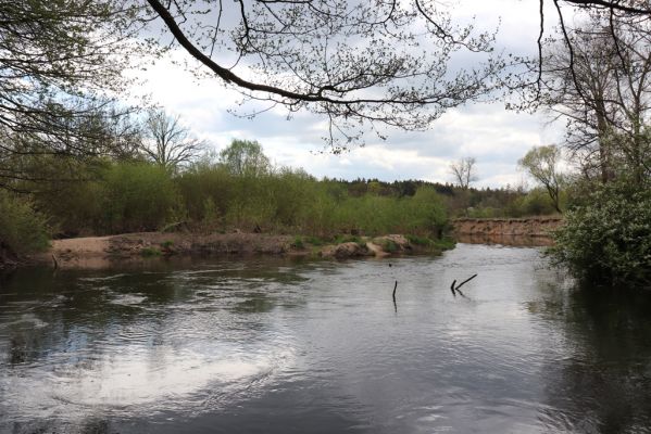 Třebechovice pod Orebem, 26.4.2020
Štěnkov. Meandry Orlice jihovýchodně od Štěnkova.
Klíčová slova: Třebechovice pod Orebem Štěnkov meandry Orlice