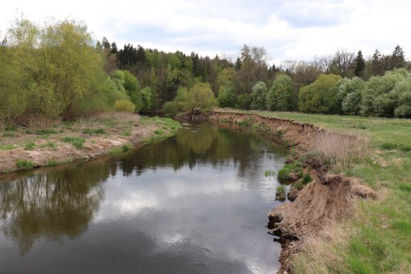 Třebechovice pod Orebem, 26.4.2020
Štěnkov. Meandry Orlice jihovýchodně od Štěnkova.
Mots-clés: Třebechovice pod Orebem Štěnkov meandry Orlice