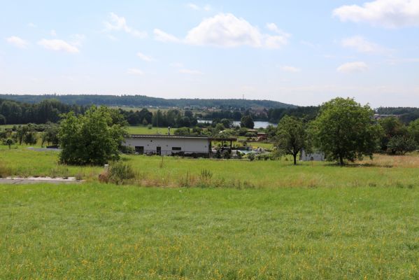 Hradec Králové, Třebeš, 25.7.2021
Na Vinicích. Pohled k Roudničce.
Klíčová slova: Hradec Králové Třebeš Na Vinicích Roudnička