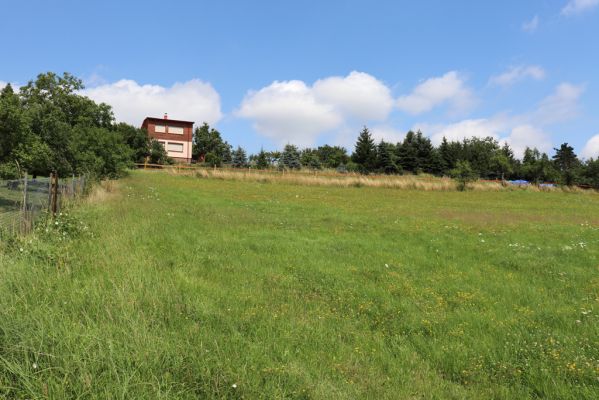 Hradec Králové, Třebeš, 25.7.2021
Kopec Sv. Jana - Na Vinicích.
Klíčová slova: Hradec Králové Třebeš Kopec Sv. Jana Na Vinicích Agriotes gallicus
