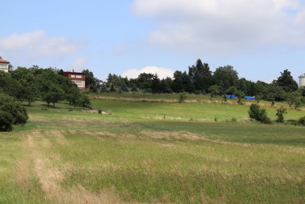 Hradec Králové, Třebeš, 25.7.2021
Kopec Sv. Jana - Na Vinicích.
Klíčová slova: Hradec Králové Třebeš Kopec Sv. Jana Na Vinicích Agriotes gallicus