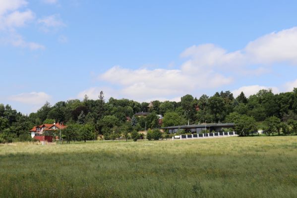 Hradec Králové, Třebeš, 25.7.2021
Kopec Sv. Jana - Na Vinicích.
Klíčová slova: Hradec Králové Třebeš Kopec Sv. Jana Na Vinicích