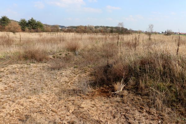 Tři Dvory, 18.3.2020
Bývalý tankodrom.
Mots-clés: Tři Dvory tankodrom