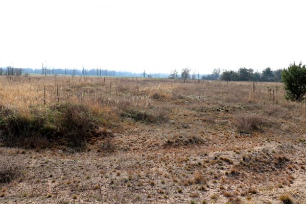 Tři Dvory, 18.3.2020
Bývalý tankodrom.
Schlüsselwörter: Tři Dvory tankodrom