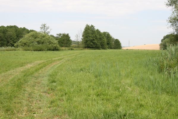 Smiřice, Trotina, 19.7.2015
Mlýn Trotina. Záplavové louky u Trotiny.



Klíčová slova: Smiřice Mlýn Trotina