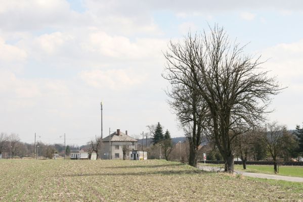Sedlíšťka, 4.4.2012
Hrušňová alej k Trusnovu. Biotop páchníka Osmoderma barnabita.



Schlüsselwörter: Trusnov Sedlíšťka páchník Osmoderma barnabita