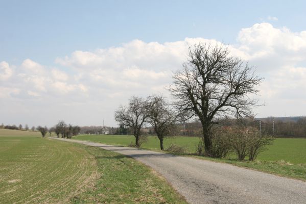 Sedlíšťka, 4.4.2012
Hrušňová alej k Trusnovu. Biotop páchníka Osmoderma barnabita.



Klíčová slova: Trusnov Sedlíšťka páchník Osmoderma barnabita