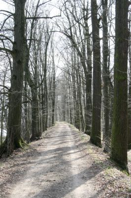 Trusnov, 4.4.2012
Rybník Lodrant -cesta na hrázi.



Klíčová slova: Trusnov rybník Lodrant