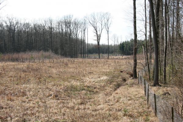 Trusnov, 4.4.2012
Neles u hráze rybníku Lodrant.


Klíčová slova: Trusnov Lodrant