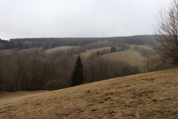 Mladé Buky, 2.4.2021
Sklenářovice - Sklenářovické údolí. 
Klíčová slova: Mladé Buky Sklenářovice Sklenářovické údolí Rýchory
