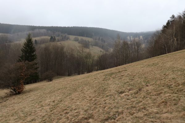 Mladé Buky, 2.4.2021
Sklenářovice - Sklenářovické údolí. 
Keywords: Mladé Buky Sklenářovice Sklenářovické údolí Rýchory
