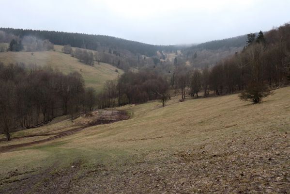 Mladé Buky, 2.4.2021
Sklenářovice - Sklenářovické údolí. 
Klíčová slova: Mladé Buky Sklenářovice Sklenářovické údolí Rýchory