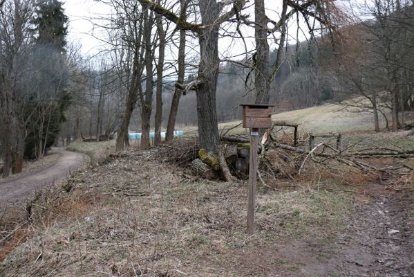 Mladé Buky, 2.4.2021
Sklenářovice.
Mots-clés: Mladé Buky Sklenářovice