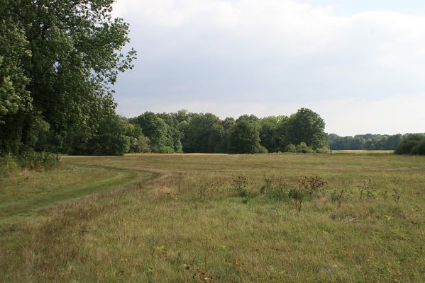 Hrobice-Tůň-7.9.2007
Přírodní památka Tůň u Hrobic.
Klíčová slova: Hrobice Tůň záplavové louky