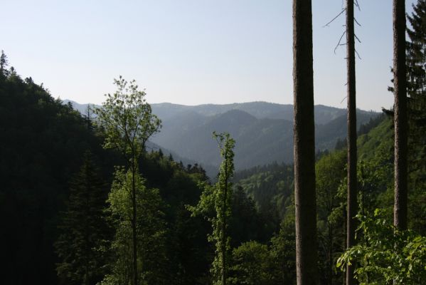 Veľká Fatra, Turecká, 10.5.2013
Pohled ze svahů Malé Turecké doliny na Kramnické vrchy.
Klíčová slova: Veľká Fatra Turecká Malá Turecká dolina Kremnické vrchy