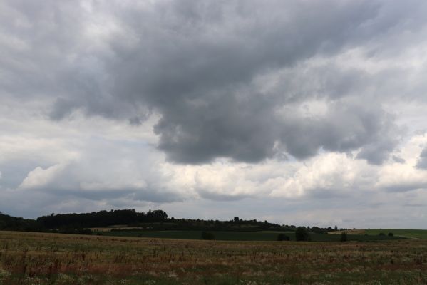 Jeníkovice, 20.7.2021
Vrch Turek od jihu.
Klíčová slova: Jeníkovice vrch Turek