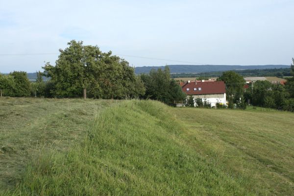 Jeníkovice, vrch Turek, 30.8.2007
Pohled od vrchu Turek k obci Jeníkovice. V popředí dlouhá mez se stepní vegetací.
Keywords: Třebechovice pod Orebem Jeníkovice vrch Turek step