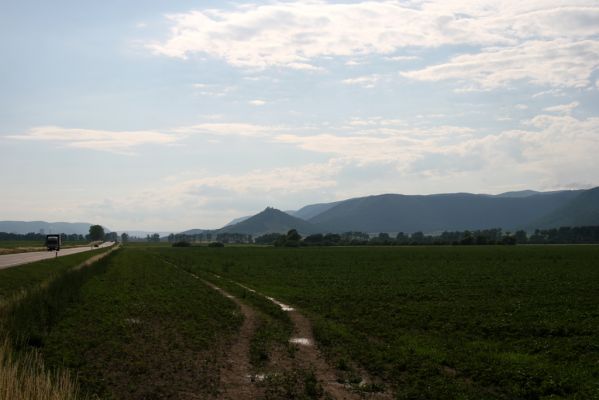 Turňa nad Bodvou, 23.6.2011
Turniansky hrad



Schlüsselwörter: Turňa nad Bodvou Turniansky hrad Athous silicensis Anostirus gracilicollis