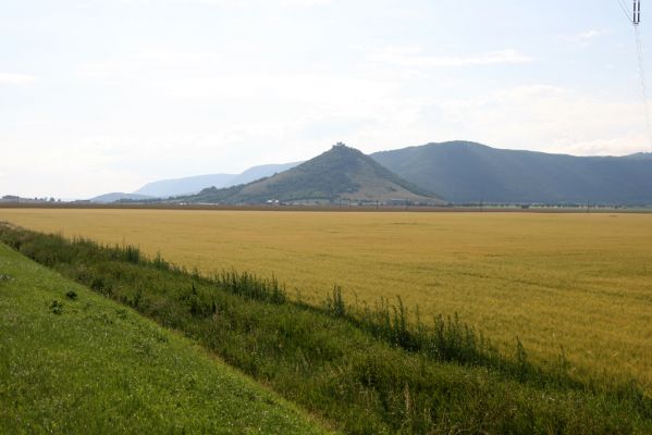 Turňa nad Bodvou, 23.6.2011
Turniansky hrad.



Schlüsselwörter: Turňa nad Bodvou Turniansky hrad Athous silicensis Anostirus gracilicollis