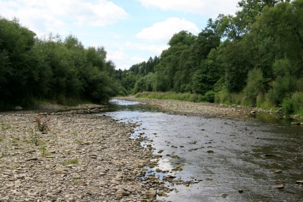 Turzovka-Podvysoká, 31.7.2013
Štěrkové náplavy řeky Kysuci.
Klíčová slova: Turzovka Podvysoká Kysuca