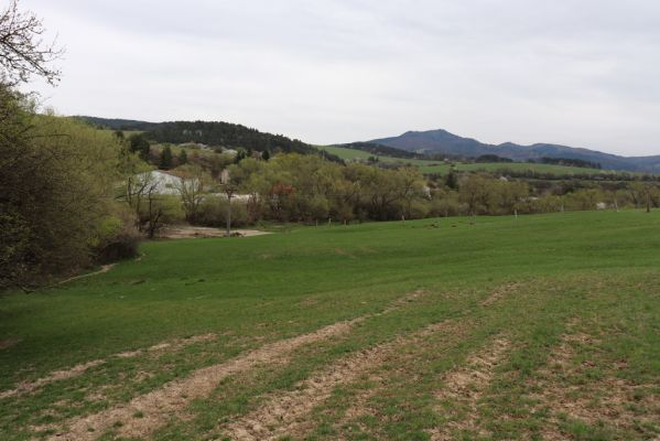 Nitrianské Pravno, 12.4.2019
Pastvina u Hraničného potoka.
Klíčová slova: Nitrianske Pravno Hraničný potok pastvina