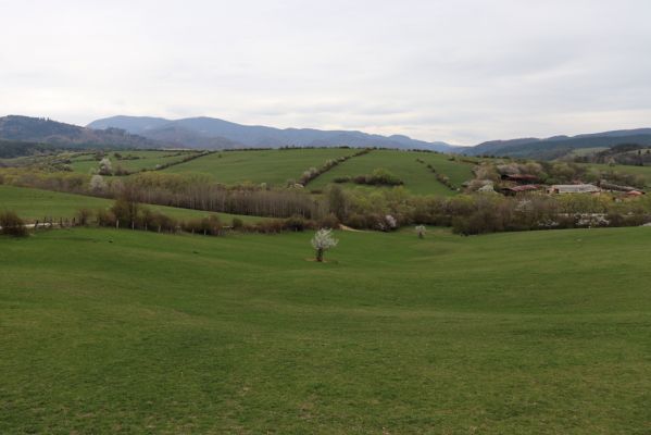 Tužina, 12.4.2019
Pastvina nad Hraničným potokem. Pohled na Malou Fatru.
Keywords: Tužina Hraničný potok pastvina Malá Fatra