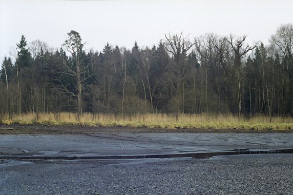 Týniště nad Orlicí, 16.3.2002
Bývalá týnišťská obora. Duby u rybníka Rozkoš. Biotop páchníka hnědého a mnoha druhů vzácných kovaříků.
Schlüsselwörter: Týniště nad Orlicí rybník Rozkoš Osmoderma barnabita Elater ferrugineus Brachygonus dubius Ampedus brunnicornis cardinalis pomonae Hypoganus inunctus