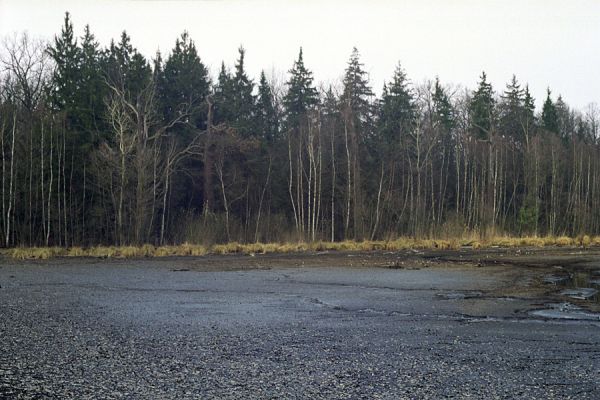 Týniště nad Orlicí, 16.3.2002
Bývalá týnišťská obora. Duby u rybníka Rozkoš. Biotop páchníka hnědého a mnoha druhů vzácných kovaříků.
Klíčová slova: Týniště nad Orlicí rybník Rozkoš Osmoderma barnabita Elater ferrugineus Brachygonus dubius Ampedus brunnicornis cardinalis pomonae Hypoganus inunctus