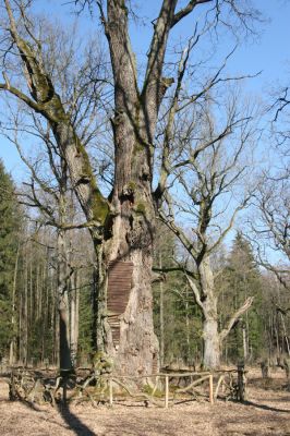 Týniště nad Orlicí, 17.3.2016
U Houkvice.



Klíčová slova: Týniště nad Orlicí U Houkvice