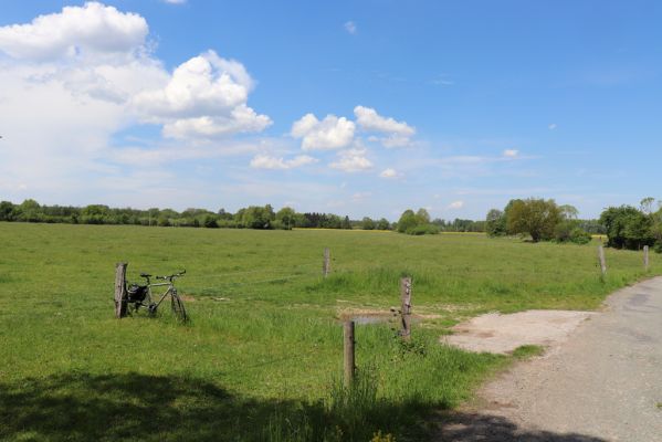 Týniště nad Orlicí, 19.5.2019
Pastvina u Světlé.
Mots-clés: Týniště nad Orlicí pastvina u Světlé