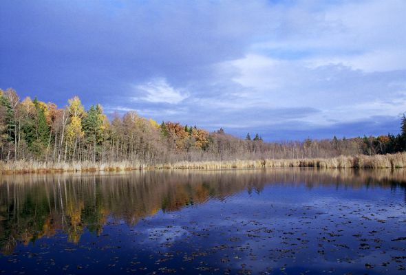 Petrovice nad Orlicí, 23.10.2002
Rezervace U Houkvice. Lesní rybník Velká Houkvice.
Klíčová slova: Týniště nad Orlicí Petrovice U Houkvice Velká Houkvice